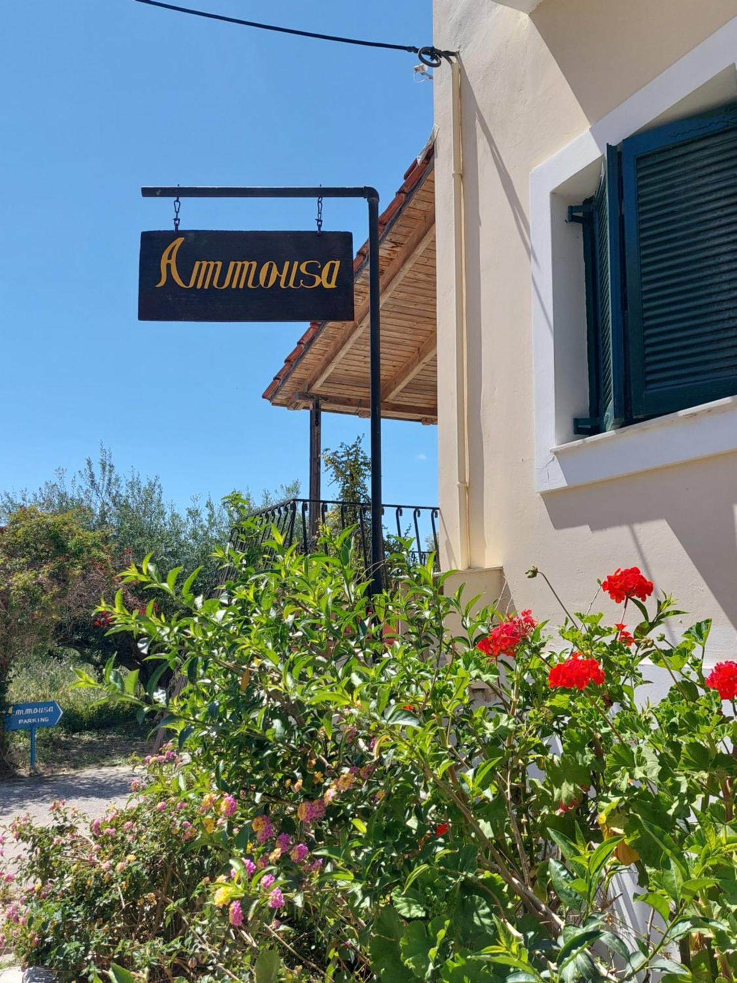 Ammousa Hotel Apartments Lixouri Bagian luar foto