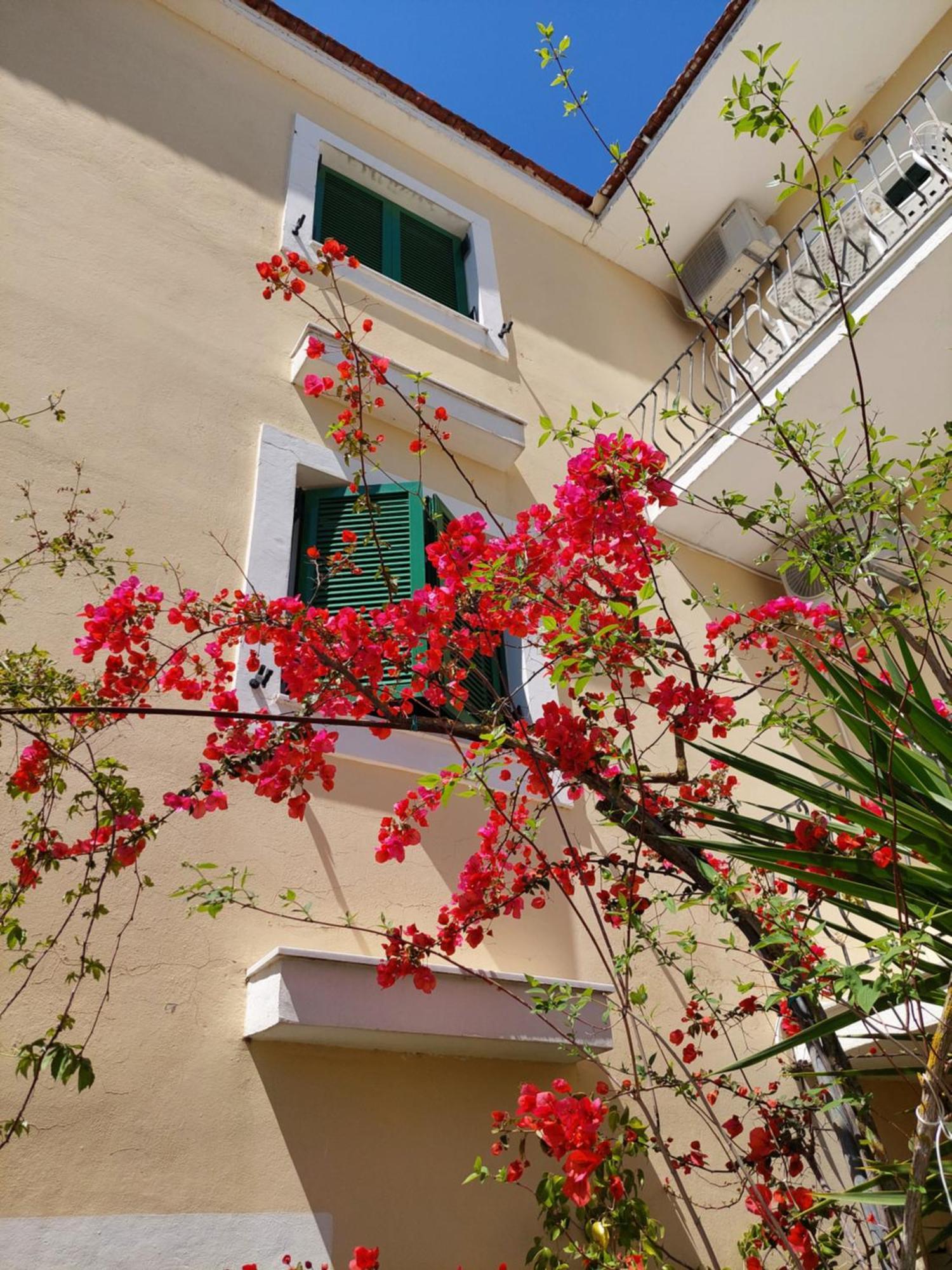 Ammousa Hotel Apartments Lixouri Bagian luar foto